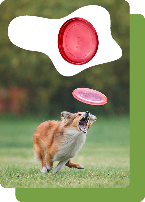 23cm Natural Rubber Frisbee