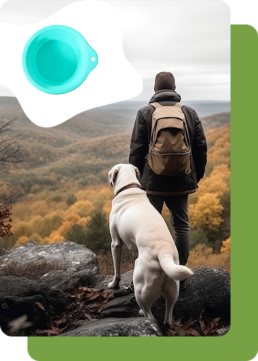 Collapsible Travel Bowl