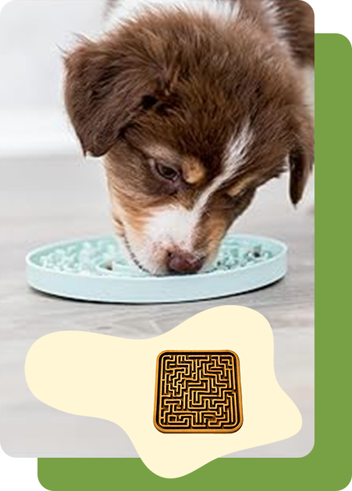 Soothe & Savour Lick Mat