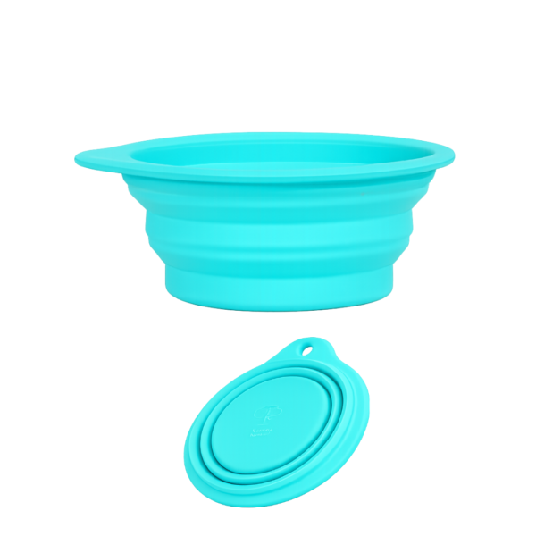 Collapsible Bowl