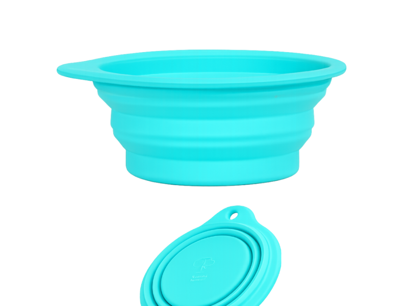 1 Collapsible Bowl