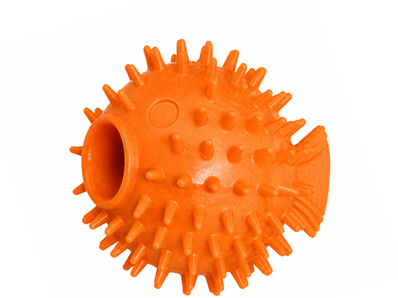 Puff Fish