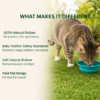 Collapsible Bowl