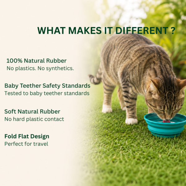 Collapsible Bowl