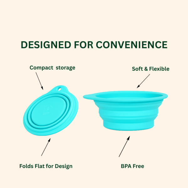 Collapsible Bowl